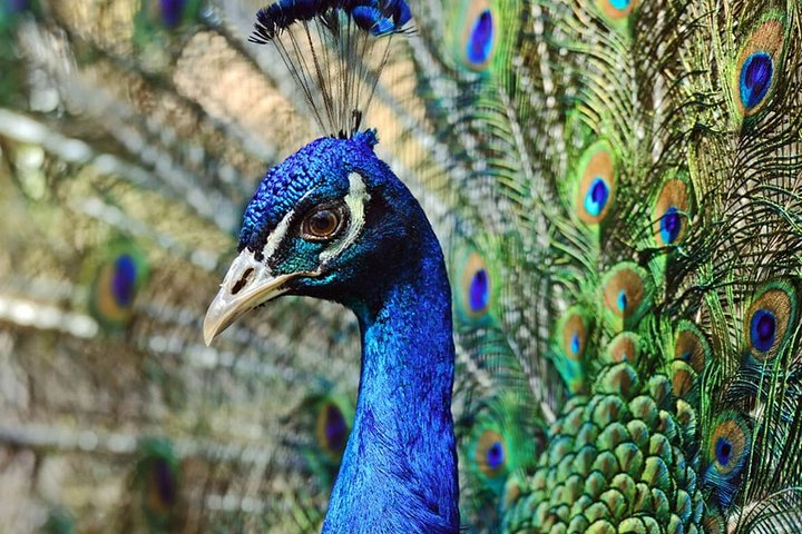 Nature Sri Lanka  - Photo 1 of 6